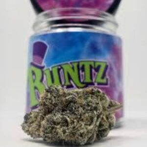 Buy Gruntz