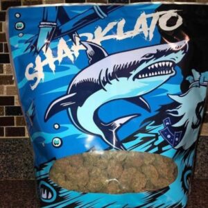 Buy Sharklato Runtz