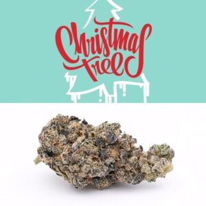 Buy Christmas tree runtz