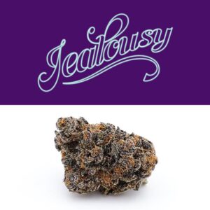 Buy Jealousy runtz