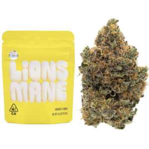 Buy Lion mane runtz