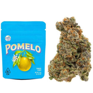 Buy Pomelo runtz