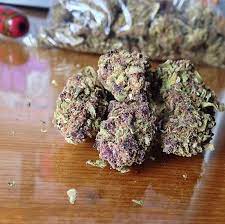 Buy Purple Kush