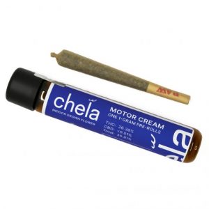 Chela PreRoll Motor Cream 2G