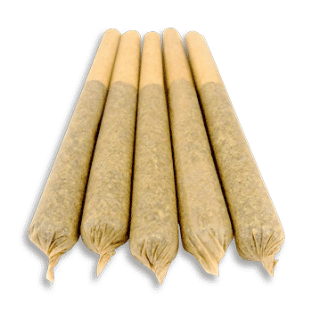 CBD PreRolls Northern Lights 5 Pack